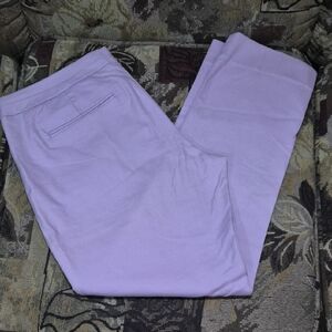 Banana Republic Lilac Trousers Size 6